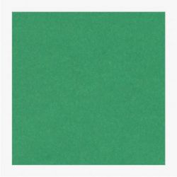 Cartoncini Fabriano 220gr 50x70 20fg verde pisello