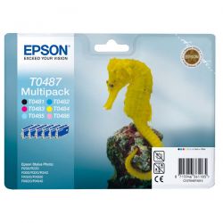 Multipack Epson T04874020 R300