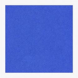 Cartoncini Fabriano 220gr 70x100 10fg blu LR