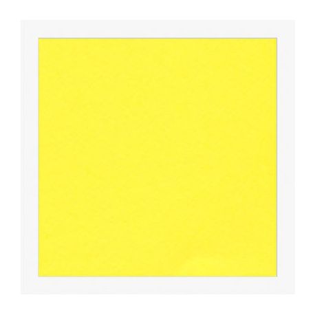 Cartoncini Fabriano 220gr 70x100 10fg giallo LR