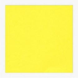 Cartoncini Fabriano 220gr 50x70 20fg giallo
