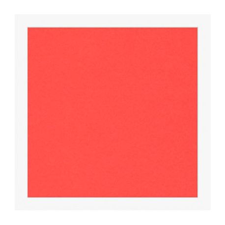 Cartoncini Fabriano 220gr 50x70 20fg rosso