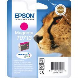 Cartuccia Epson T071340 magenta stylus D78