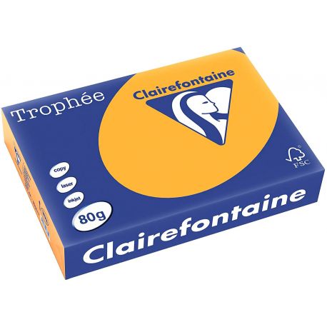 Carta A4 80gr 1780 giallo oro DCC