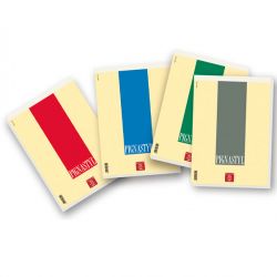 Blocco Pignastyl 21x30 70fg a righe