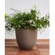 VASO OVER 85 LT- SABBIA