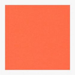 Cartoncini Fabriano 220gr 50x70 20fg arancio