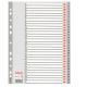 Separatore A4 pl. 1-31 100108
