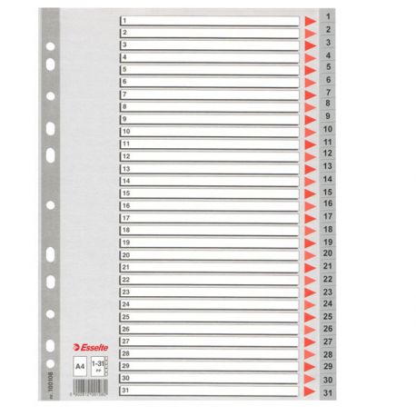 Separatore A4 pl. 1-31 100108