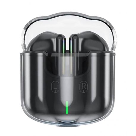 AURICOLARI WIRELESS USB/TYPE C NERO