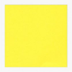 Cartoncini Fabriano 220gr 70x100 10fg giallo LR