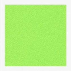 Cartoncini Fabriano 220gr 70x100 10fg pisello LR