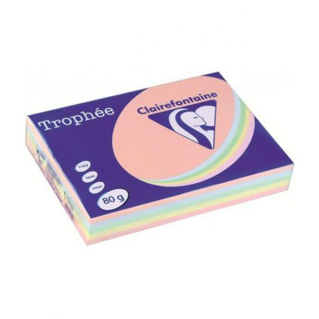 Carta CF 1707 A3 80gr colori tenui DCC