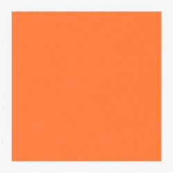 Cartoncini Fabriano 220gr 70x100 10fg aragosta LR