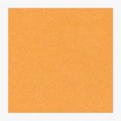 Cartoncini Fabriano 220gr 50x70 20fg avana