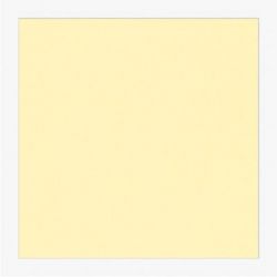 Cartoncini Fabriano 220gr 50x70 20fg onice