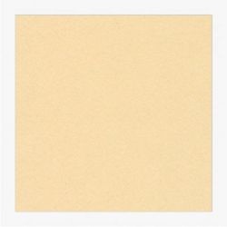 Cartoncini Fabriano 220gr 50x70 20fg panna