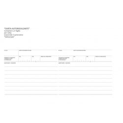 Libretto controllo lavoro domicilio 2 copie 16205C000