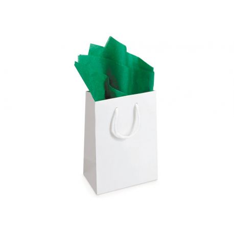 CARTA VELINA FG. 24 50X76 VERDE