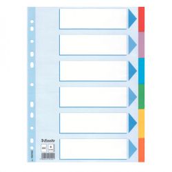 Separatore A4 cartoncino 6 tacche color