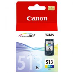 Cartuccia + testina Canon CL-513 colore 13ml