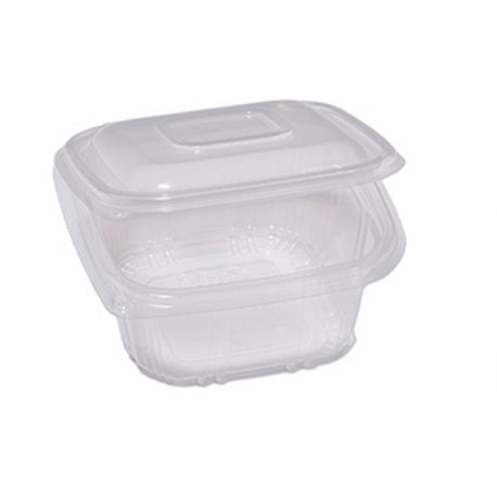 CF. 50 CONTEN. PP C/COP. 12X12 H55 CUKI QC0375