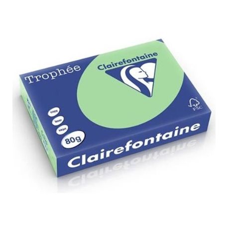 Carta A3 80gr 1773 verde natura DCC