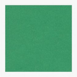Cartoncini Fabriano 220gr 70x100 10fg verde LR