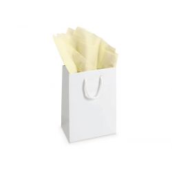 CARTA VELINA FG. 24 50X76 AVORIO