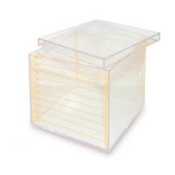 CUBO GRADUATO CM 10X10X10 CON TAPPO