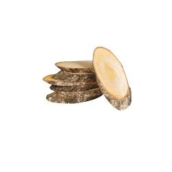 LEGNO DA DECORARE FETTE DI BETULLA MM.160X80 PZ.7