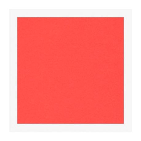 Cartoncini Fabriano 220gr 70x100 10fg rosso LR