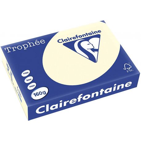 Carta A4 160gr 301 avorio 250fg 1101