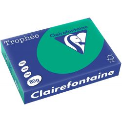 Carta A4 210gr verde abete 2213 250ff DCC