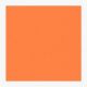 Cartoncini Fabriano 220gr 70x100 10fg aragosta LR