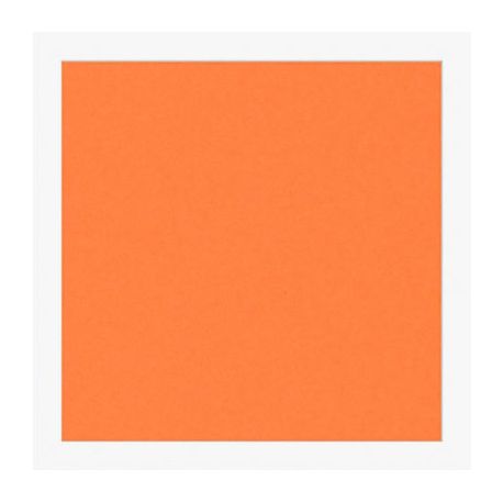 Cartoncini Fabriano 220gr 70x100 10fg aragosta LR