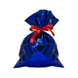 Buste regalo pl. 16x25cm cf.50pz blu met.
