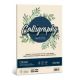 CARTA ECOLOGICA ALGA A4 FG. 50 GR. 90