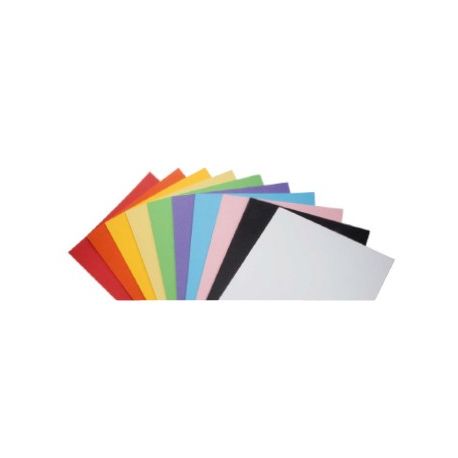 CARTA COLORATA A4 GR.220 FG.100 10 COL. ASS.