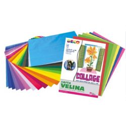 CARTA VELINA FG. 24 ALBUM 24X34 COL. ASS.