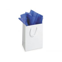 CARTA VELINA FG. 24 50X76 AZZURRO