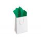 CARTA VELINA FG. 24 50X76 VERDE