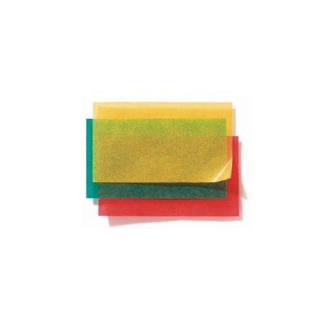 CARTA PERGAMINA FG. 25 10 COL. ASS. CM. 70X100