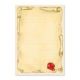 PERGAMENA CM.24X34 FG.10 GR.120 MAPPA DEL TESORO
