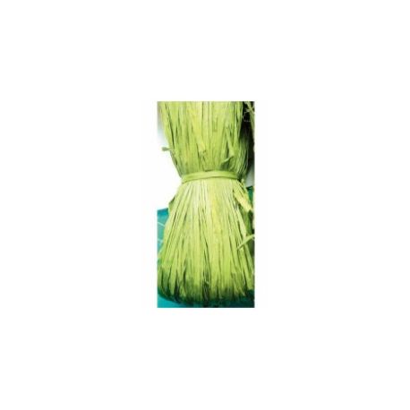 RAFIA NATURALE GR.50 VERDE ACIDO