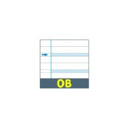 QUADERNO COPERTINA BLU RIGATURE B