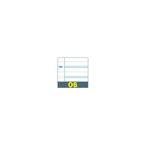 QUADERNO COPERTINA BLU RIGATURE B