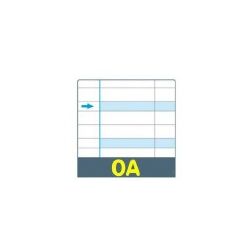 QUADERNO COPERTINA ROSSA RIGATURE A