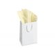 CARTA VELINA FG. 24 50X76 AVORIO