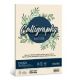 CARTA ECOLOGICA ALGA A4 FG. 50 GR. 200